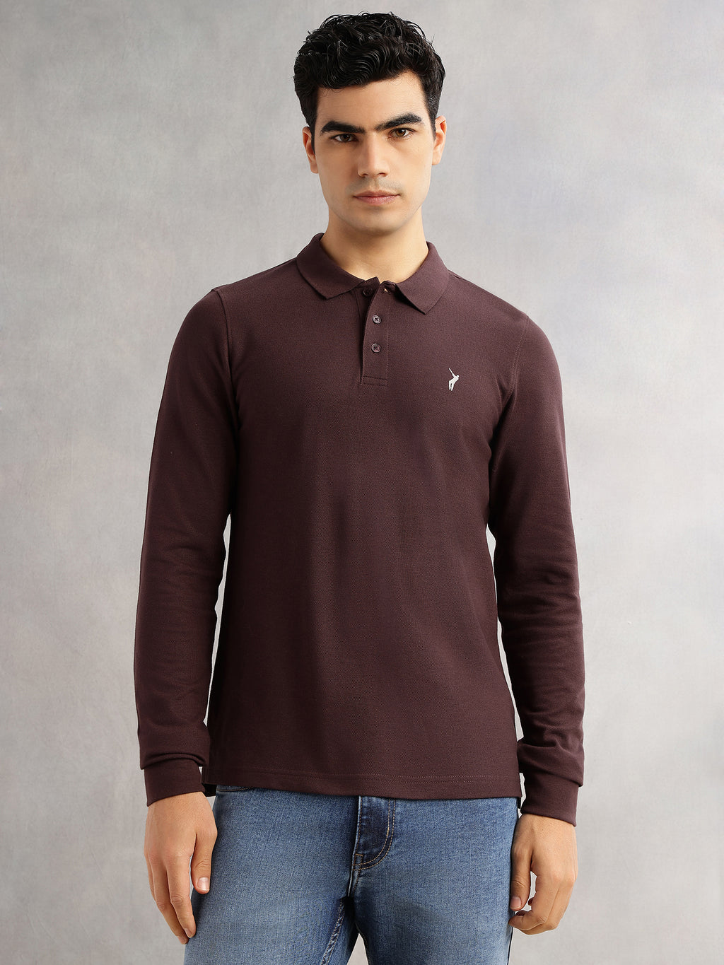 Thomas Scott Men Brown Regular Fit Long Sleeves Solid Polo Collar Knitted T-shirt