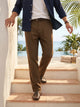 Brown Smart Solid Regular Fit Woven Linen Pleated Trouser For Men