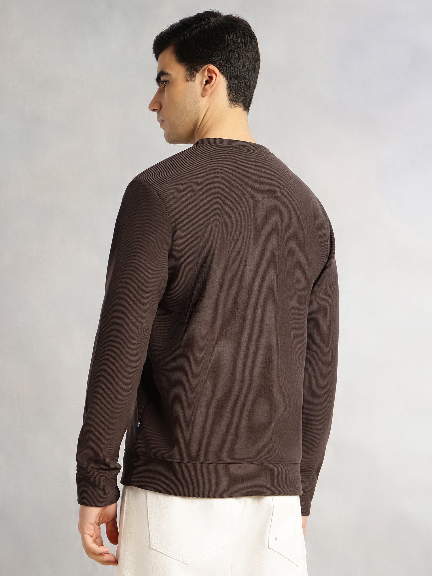 Thomas Scott Men Brown Regular Fit Long Sleeves Round Neck Solid Polyester Pullover Sweatshirt