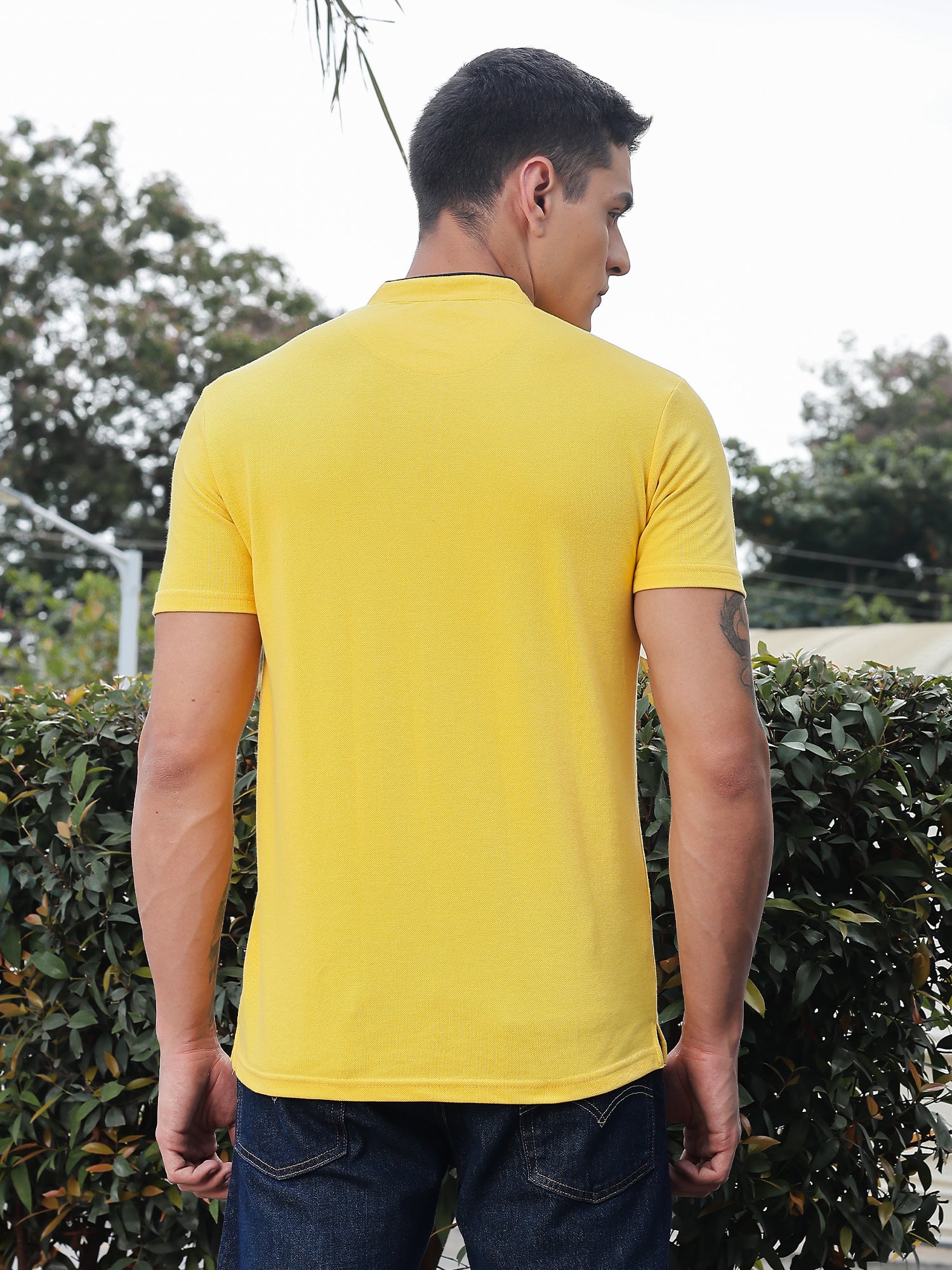 Thomas Scott Men Yellow Regular Fit Short Sleeves Mandarin Collar Knitted Tshirt