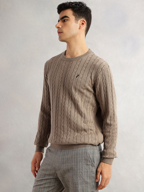 Thomas Scott Men Beige Regular Fit Long Sleeves Round Neck Self Design 100% Cotton Cable Knitted Pullover Sweater