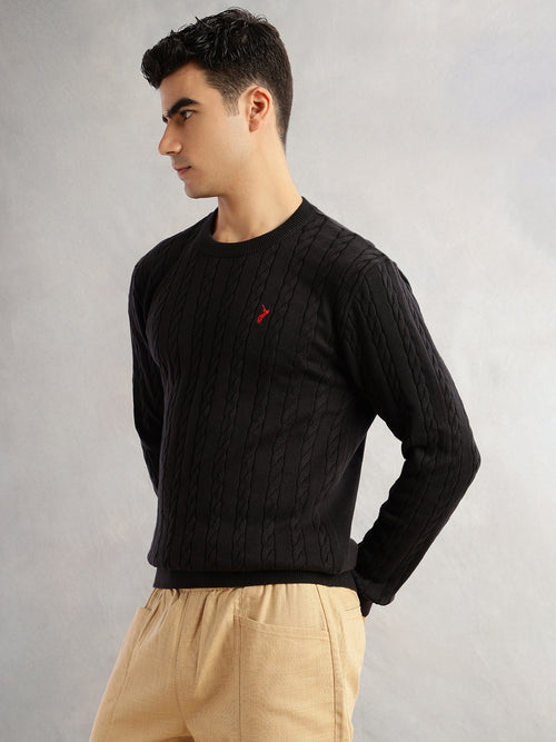 Thomas Scott Men Black Regular Fit Long Sleeves Round Neck Self Design 100% Cotton Cable Knitted Pullover Sweater