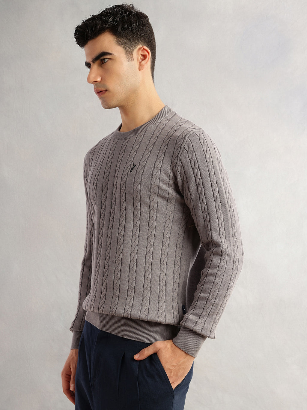 Thomas Scott Men Grey Regular Fit Long Sleeves Round Neck Self Design 100% Cotton Cable Knitted Pullover Sweater