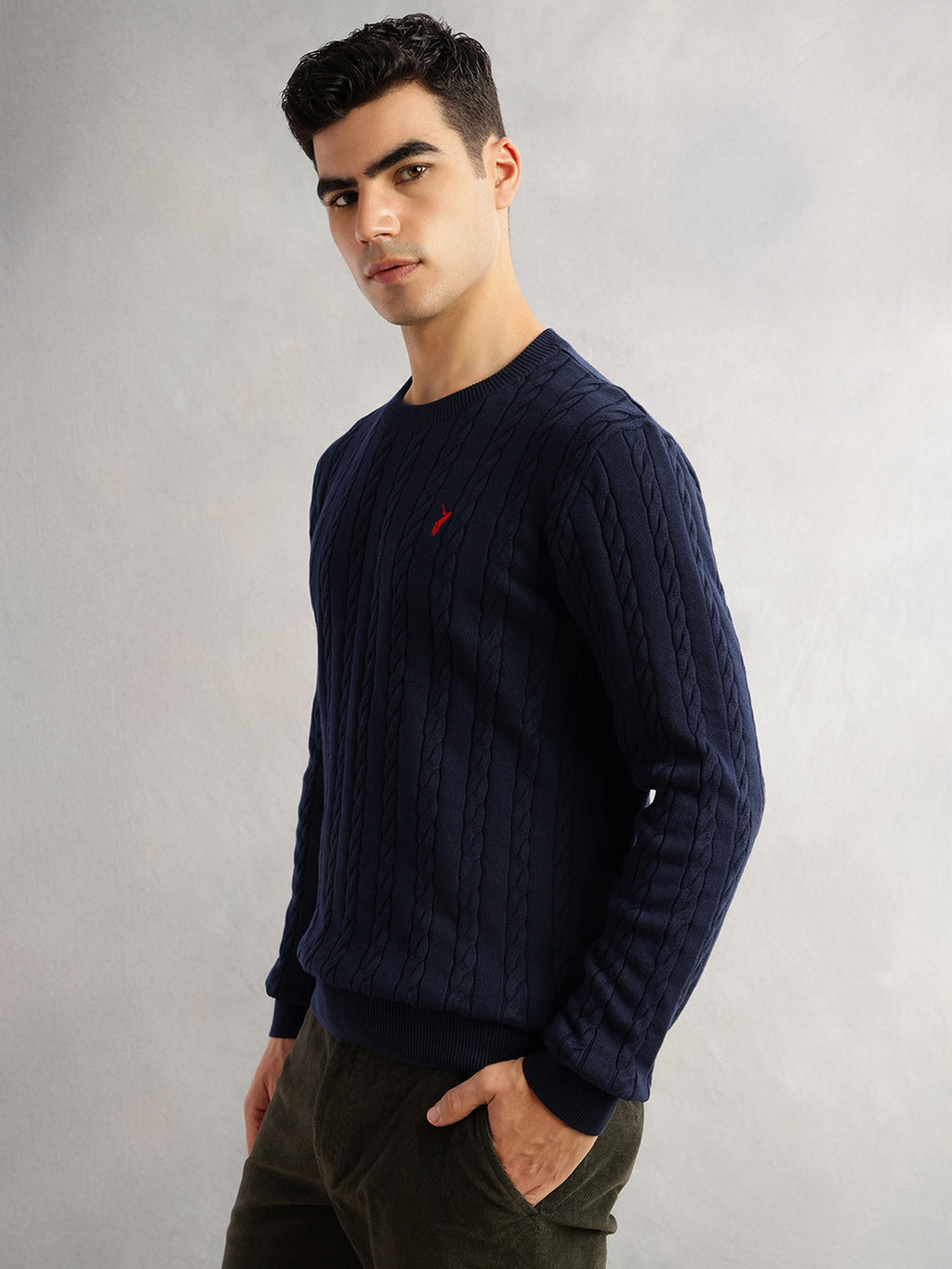 Thomas Scott Men Navy Regular Fit Long Sleeves Round Neck Self Design 100% Cotton Cable Knitted Pullover Sweater