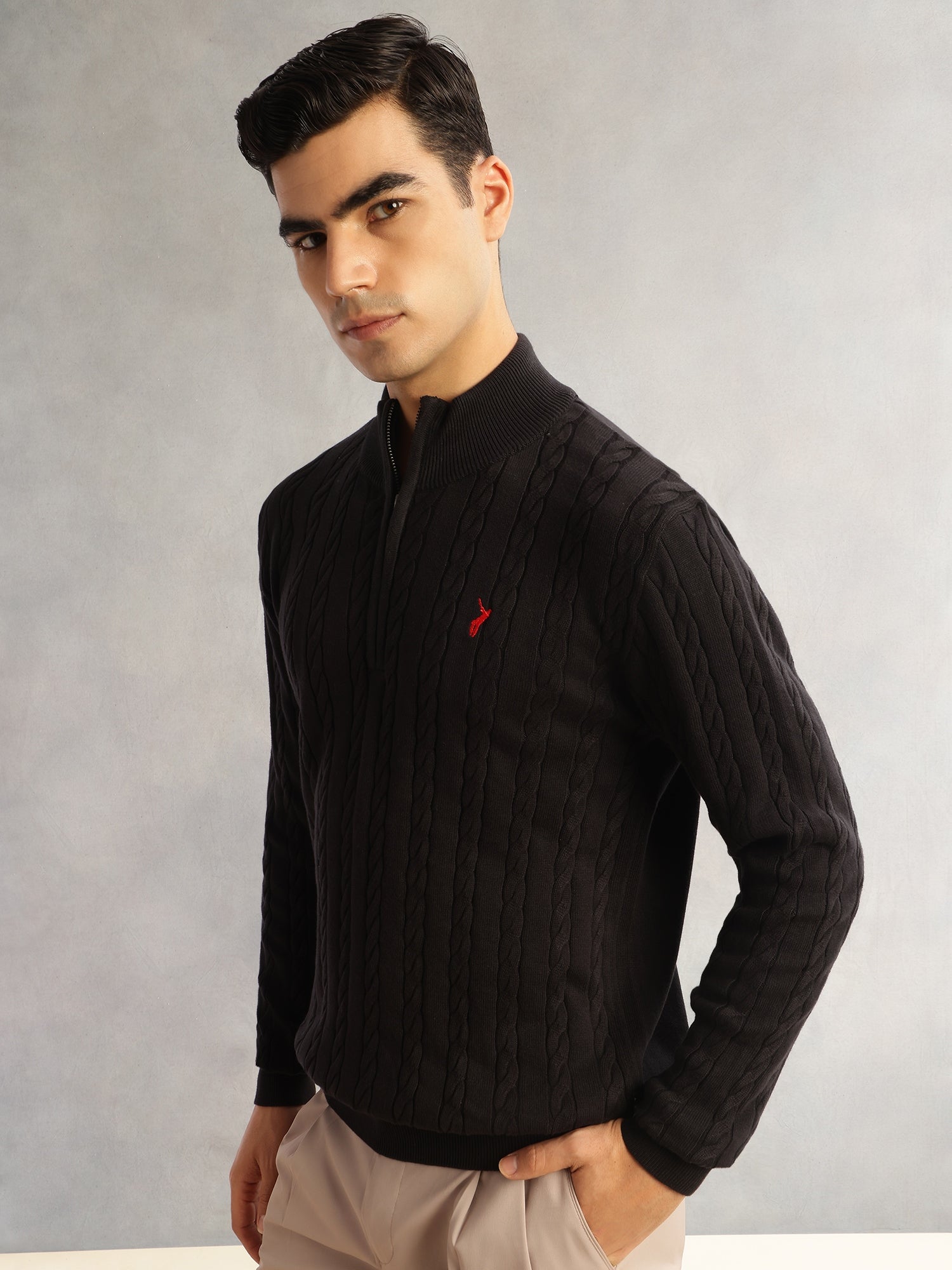 Thomas Scott Men Black Regular Fit Long Sleeves Mock Collar Cable Knitted Pullover Sweater