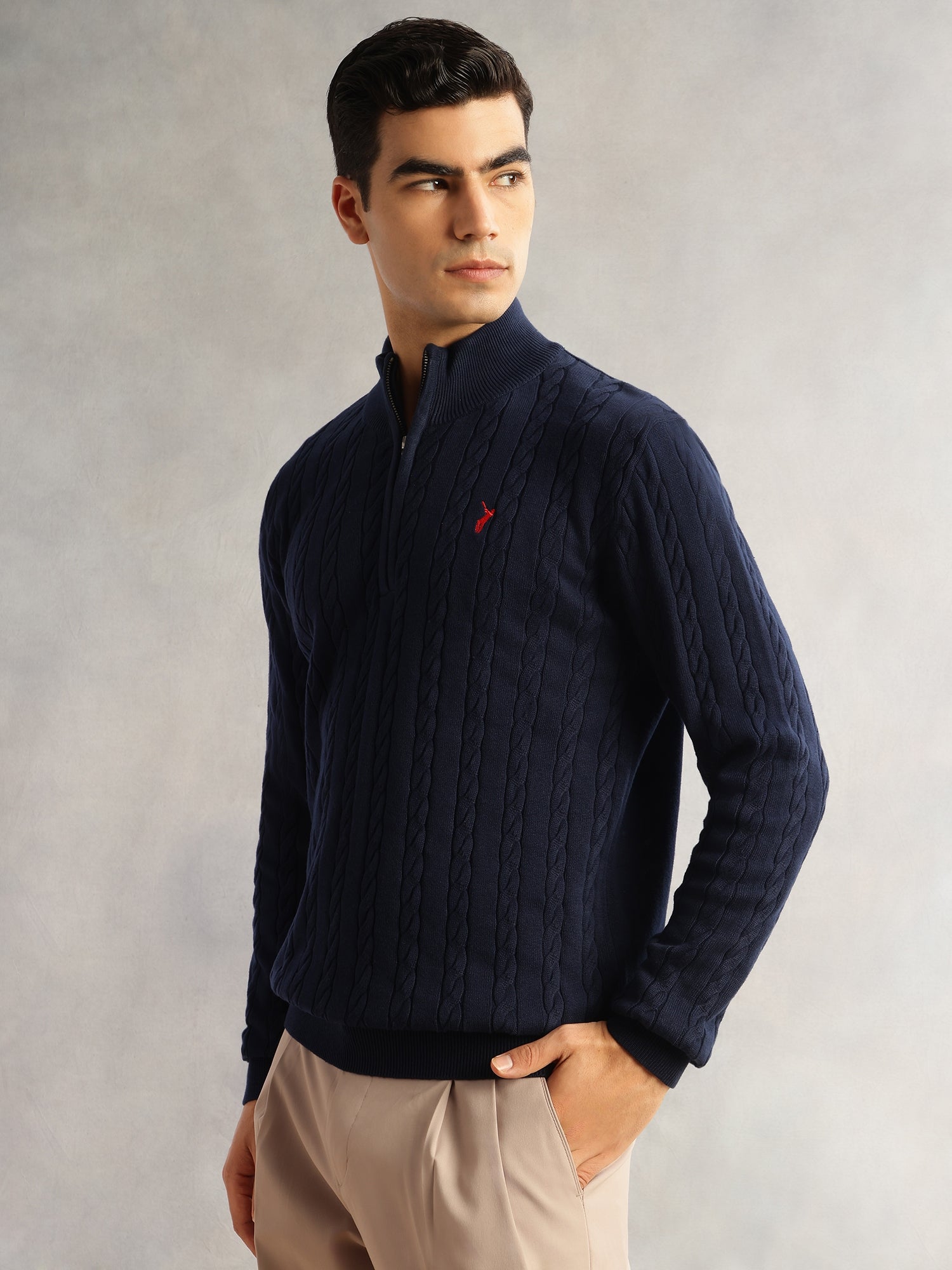 Thomas Scott Men Navy Regular Fit Long Sleeves Mock Collar Cable Knitted Pullover Sweater