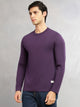 Thomas Scott Men Purple Cricket Club Collection Regular Fit Round Neck Long Sleeves Polycotton Solid Knitted T-shirt