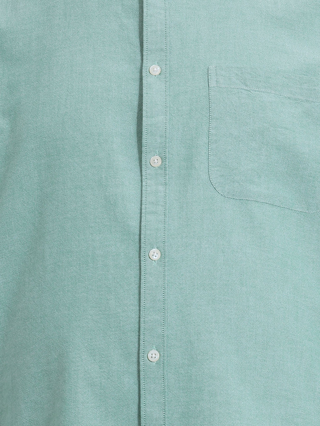 Thomas Scott Men Premium Green Plus Size Regular Fit Long Sleeves Button-Down Collar Solid Cotton Casual Shirt