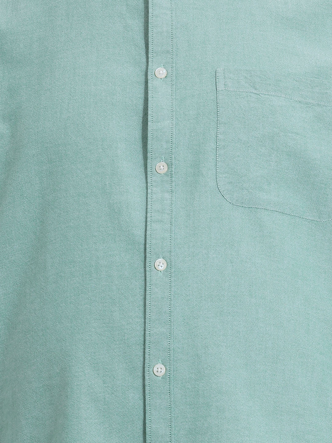 Thomas Scott Men Premium Green Plus Size Regular Fit Long Sleeves Button-Down Collar Solid Cotton Casual Shirt