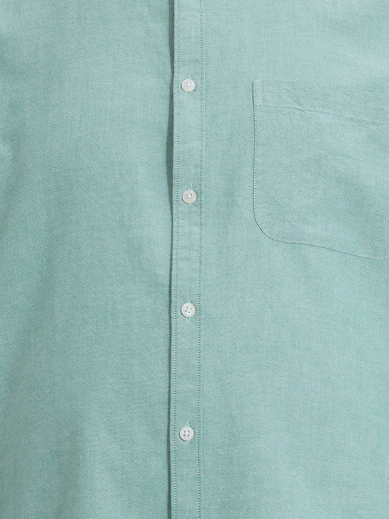 Thomas Scott Men Premium Green Plus Size Regular Fit Long Sleeves Button-Down Collar Solid Cotton Casual Shirt