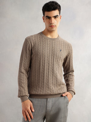Thomas Scott Men Beige Regular Fit Long Sleeves Round Neck Self Design 100% Cotton Cable Knitted Pullover Sweater