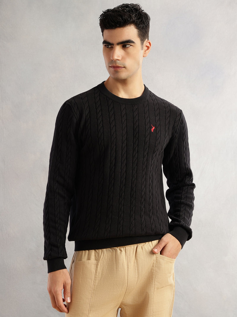 Thomas Scott Men Black Regular Fit Long Sleeves Round Neck Self Design 100% Cotton Cable Knitted Pullover Sweater