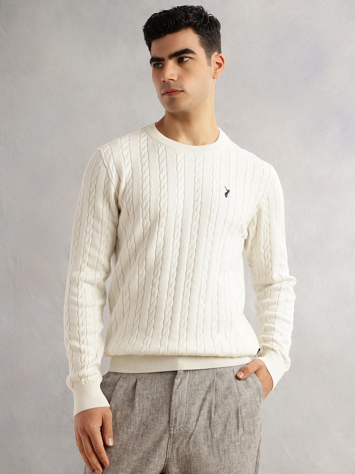 Thomas Scott Men White Regular Fit Long Sleeves Round Neck Self Design 100% Cotton Cable Knitted Pullover Sweater