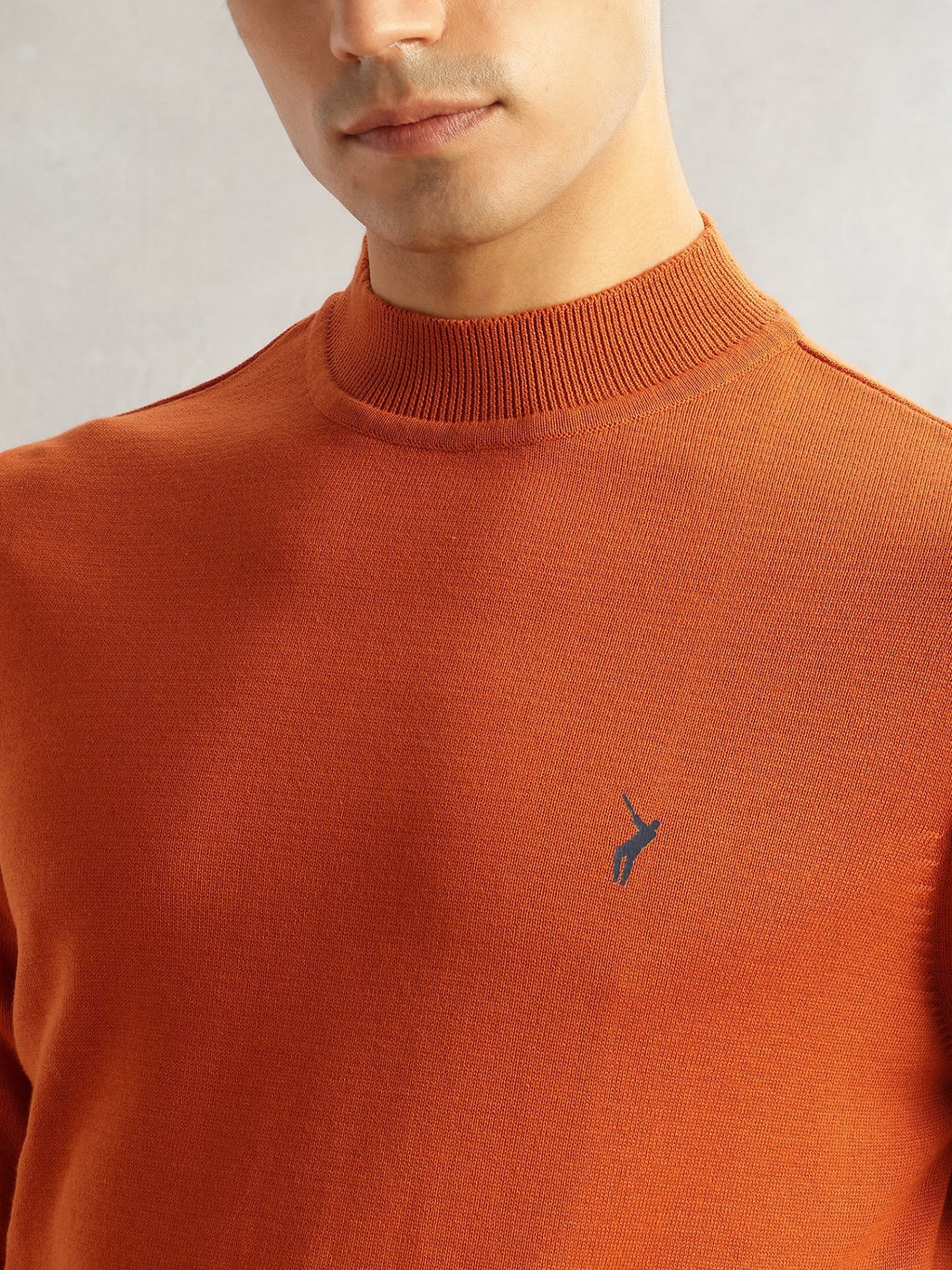 Thomas Scott Men Rust Regular Fit Long Sleeves Turtle Neck 100% Cotton Solid Knitted Pullover Sweater
