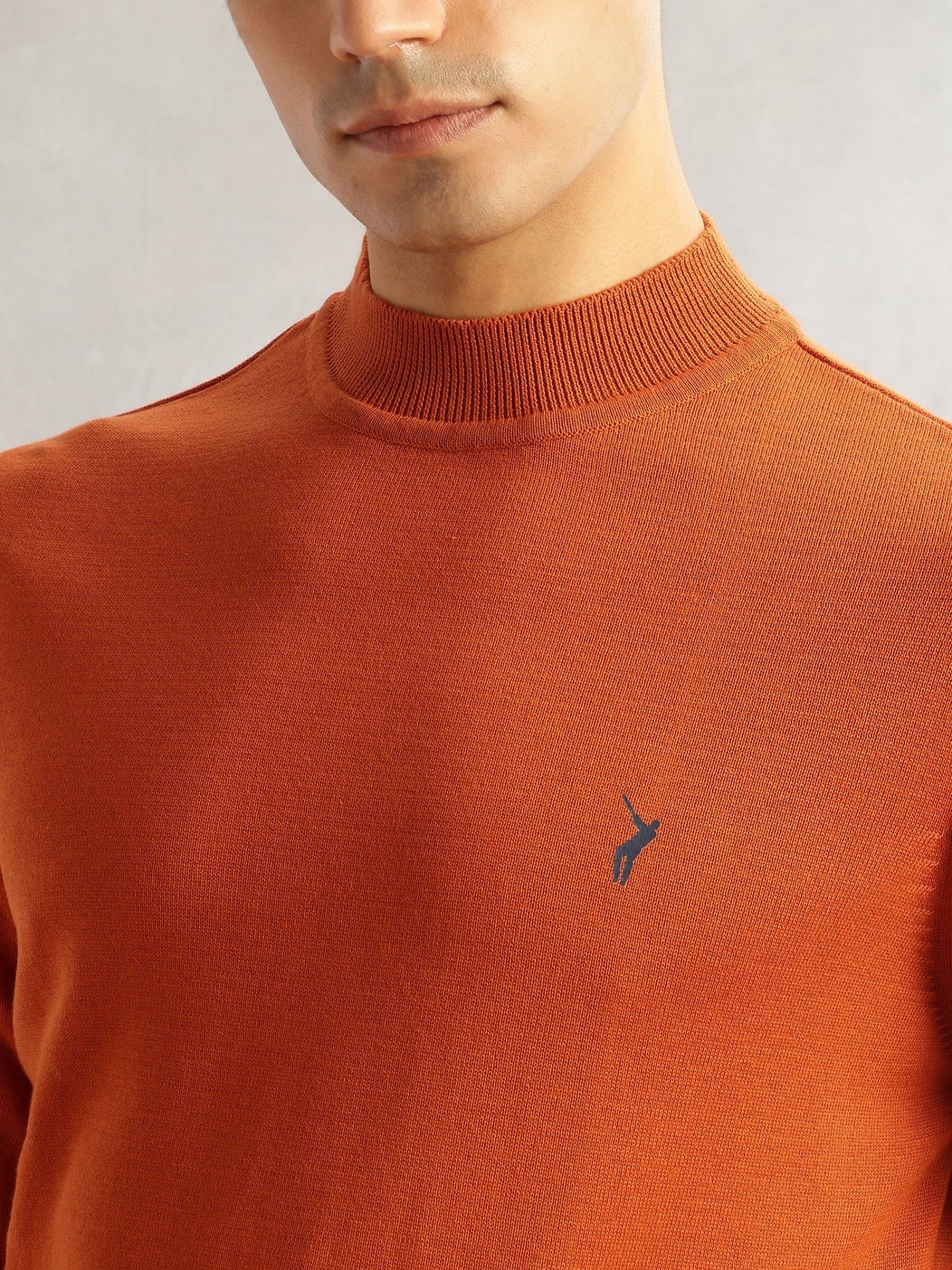Thomas Scott Men Rust Regular Fit Long Sleeves Turtle Neck 100% Cotton Solid Knitted Pullover Sweater