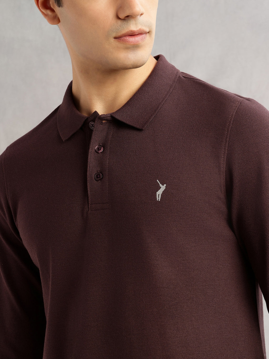 Thomas Scott Men Brown Regular Fit Long Sleeves Solid Polo Collar Knitted T-shirt