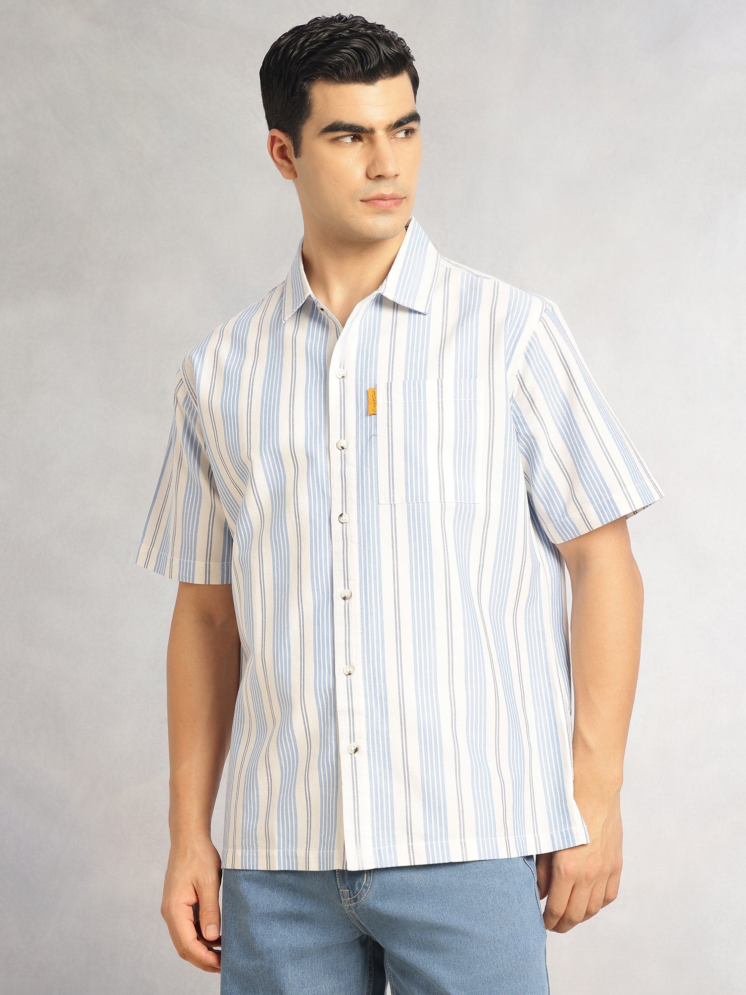 Thomas Scott Men Blue Cricket Club Collection Oversized Short Sleeves Cuban Collar Vertical Striped 100% Cotton Oxford Casual Shirt