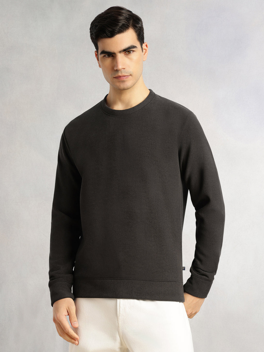 Thomas Scott Men Grey Regular Fit Long Sleeves Round Neck Solid Polyester Pullover Sweatshirt