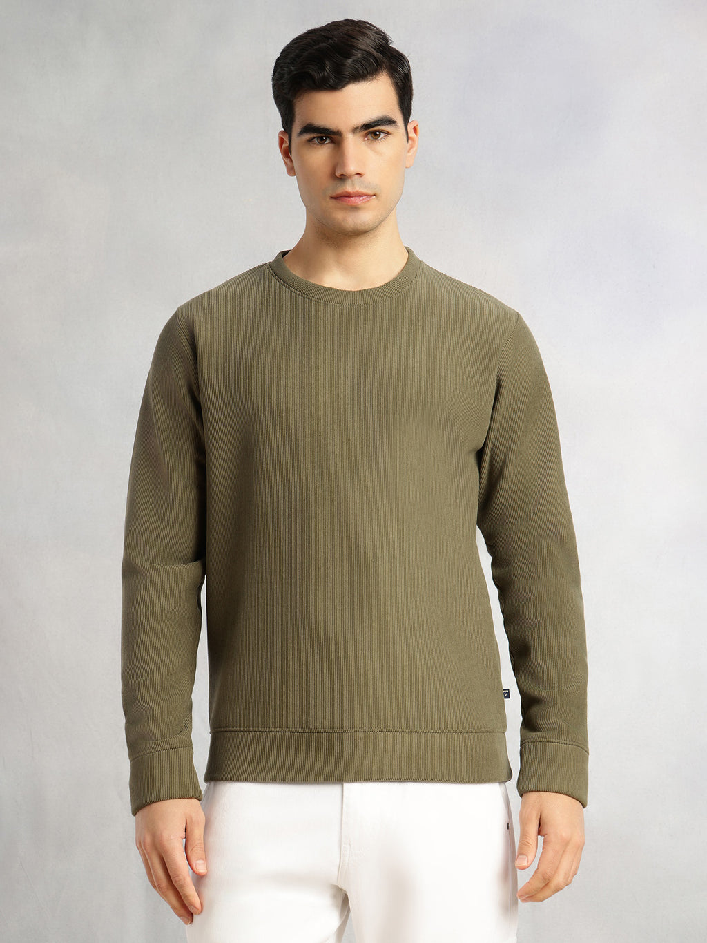 Thomas Scott Men Olive Regular Fit Long Sleeves Round Neck Solid Polyester Pullover Sweatshirt