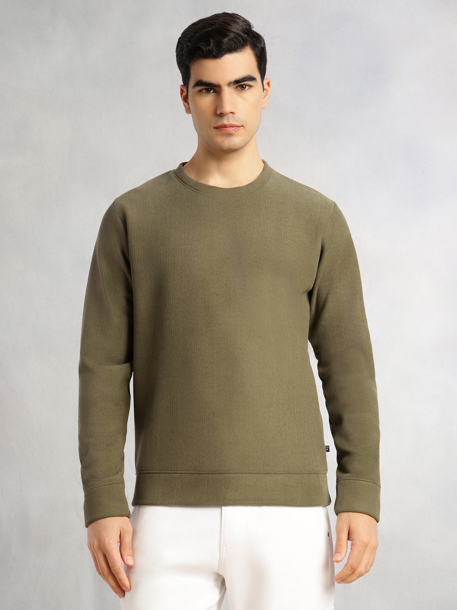 Thomas Scott Men Olive Regular Fit Long Sleeves Round Neck Solid Polyester Pullover Sweatshirt