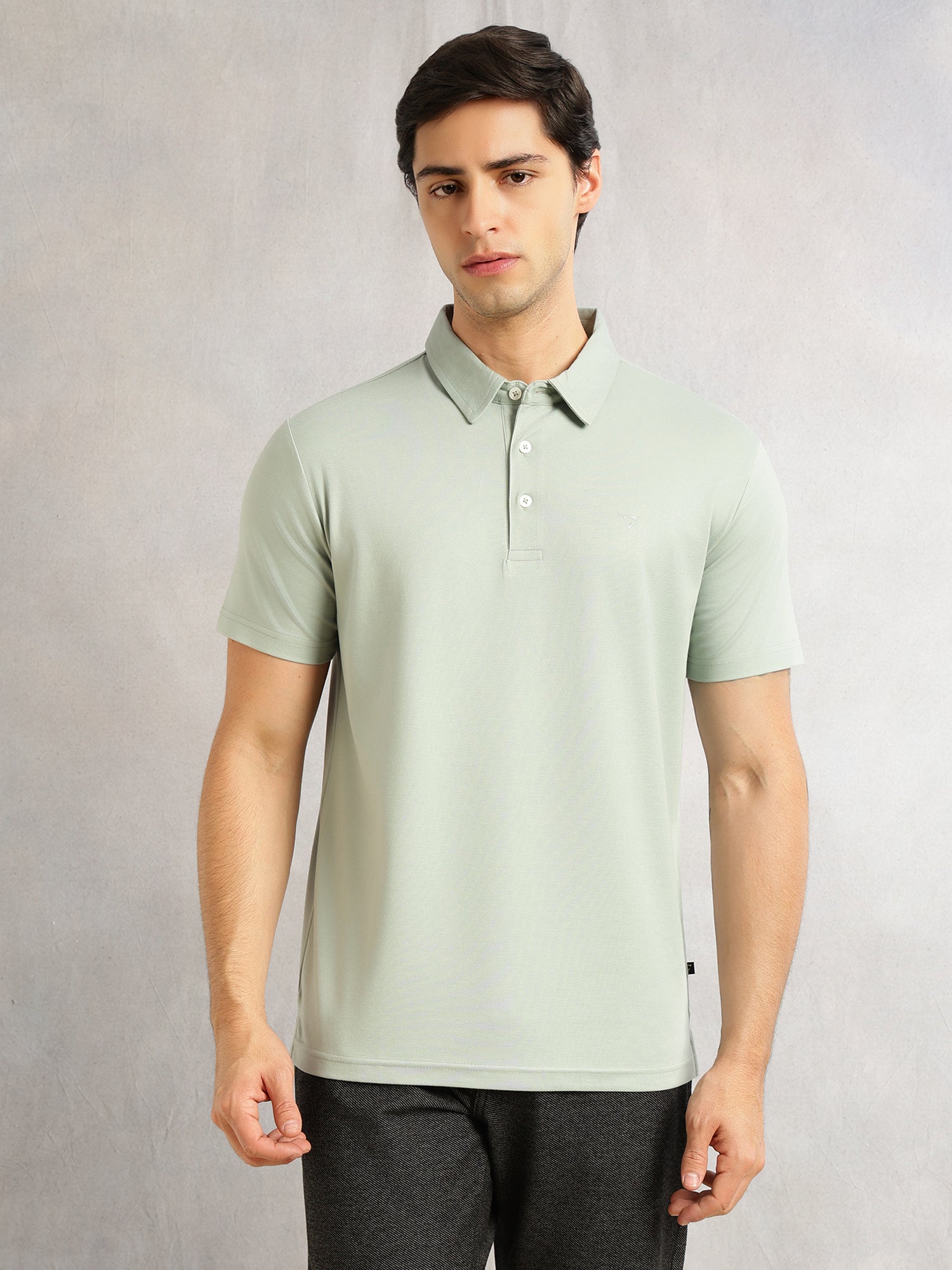 Thomas Scott Men Sage Green Regular Fit Short Sleeves Viscose Rayon Solid Knitted Polo Collar Performance Tshirt