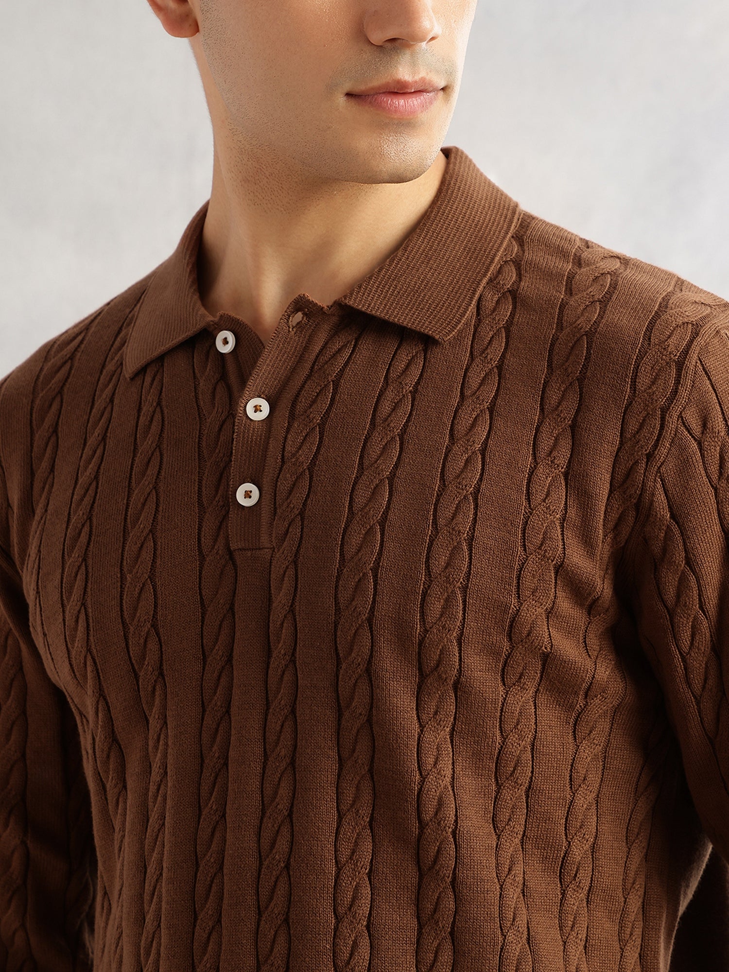 Thomas Scott Men Brown Regular Fit Long Sleeves Self Design 100% Cotton Polo Collar Knitted Tshirt