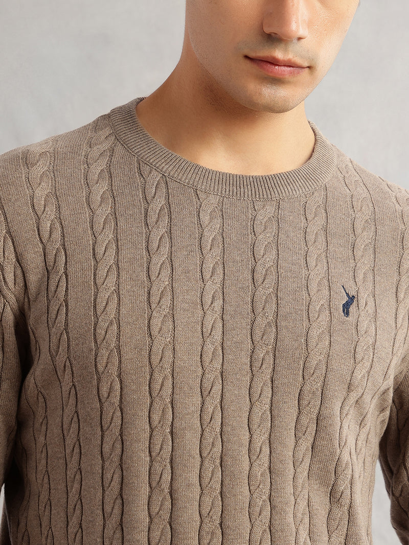 Thomas Scott Men Beige Regular Fit Long Sleeves Round Neck Self Design 100% Cotton Cable Knitted Pullover Sweater
