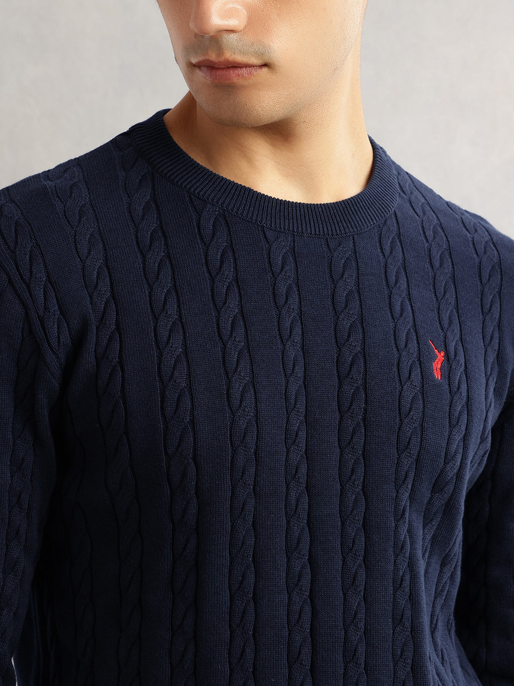Thomas Scott Men Navy Regular Fit Long Sleeves Round Neck Self Design 100% Cotton Cable Knitted Pullover Sweater