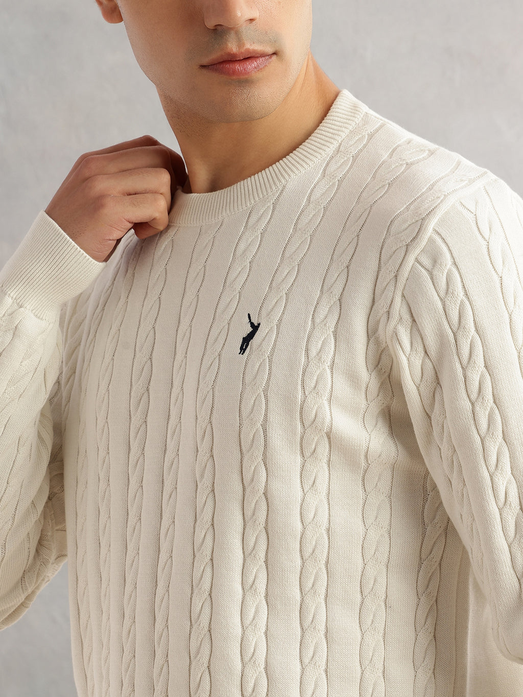 Thomas Scott Men White Regular Fit Long Sleeves Round Neck Self Design 100% Cotton Cable Knitted Pullover Sweater