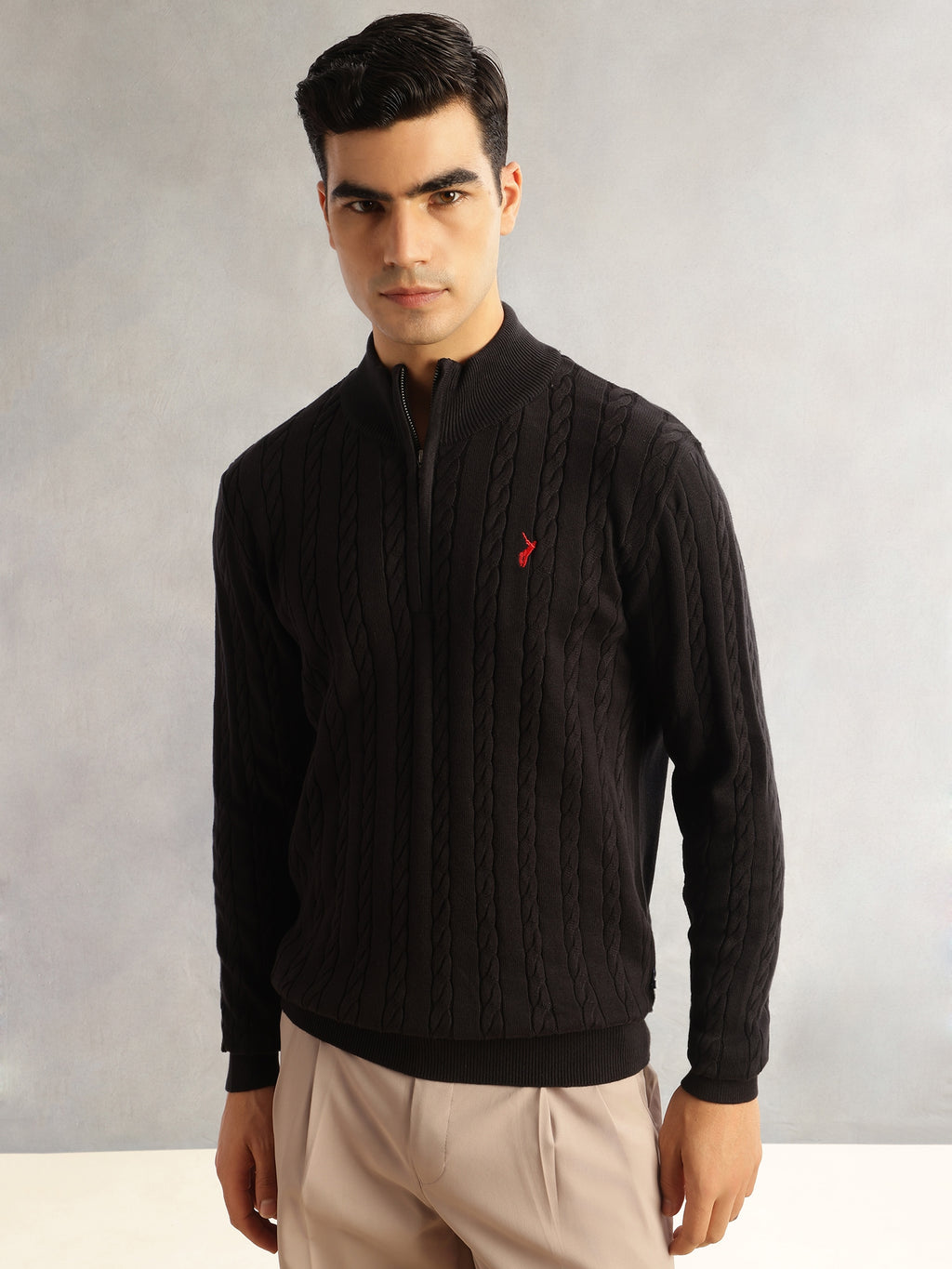 Thomas Scott Men Black Regular Fit Long Sleeves Mock Collar Cable Knitted Pullover Sweater