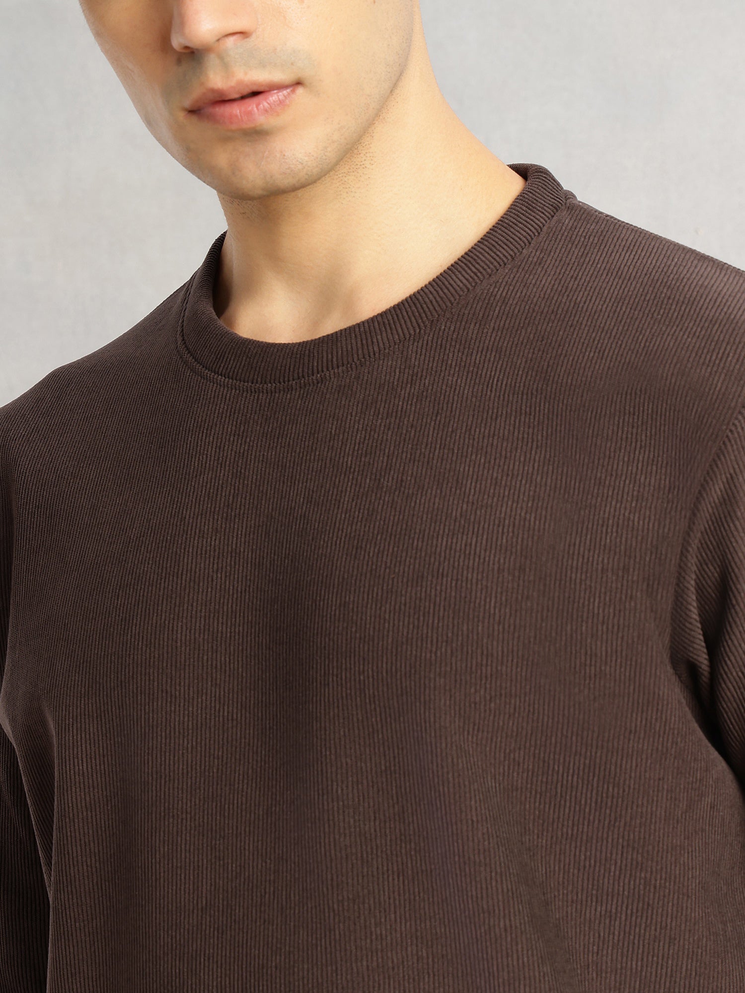 Thomas Scott Men Brown Regular Fit Long Sleeves Round Neck Solid Polyester Pullover Sweatshirt