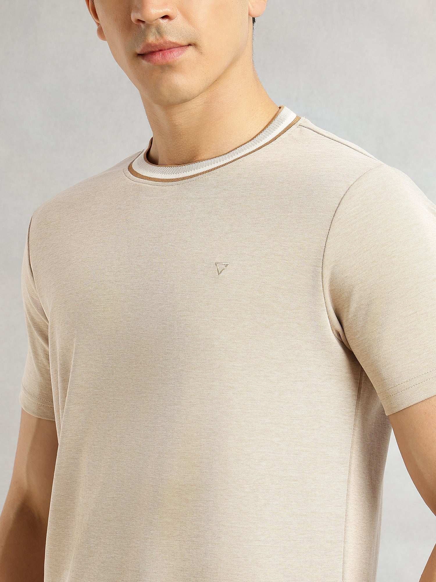 Thomas Scott Men Beige Regular Fit Short Sleeves Round Neck Solid Knitted Tshirt