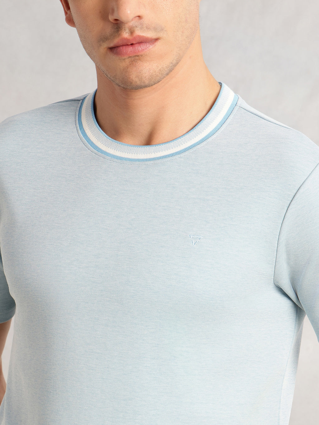 Thomas Scott Men Sky Blue Regular Fit Short Sleeves Round Neck Solid Knitted Tshirt