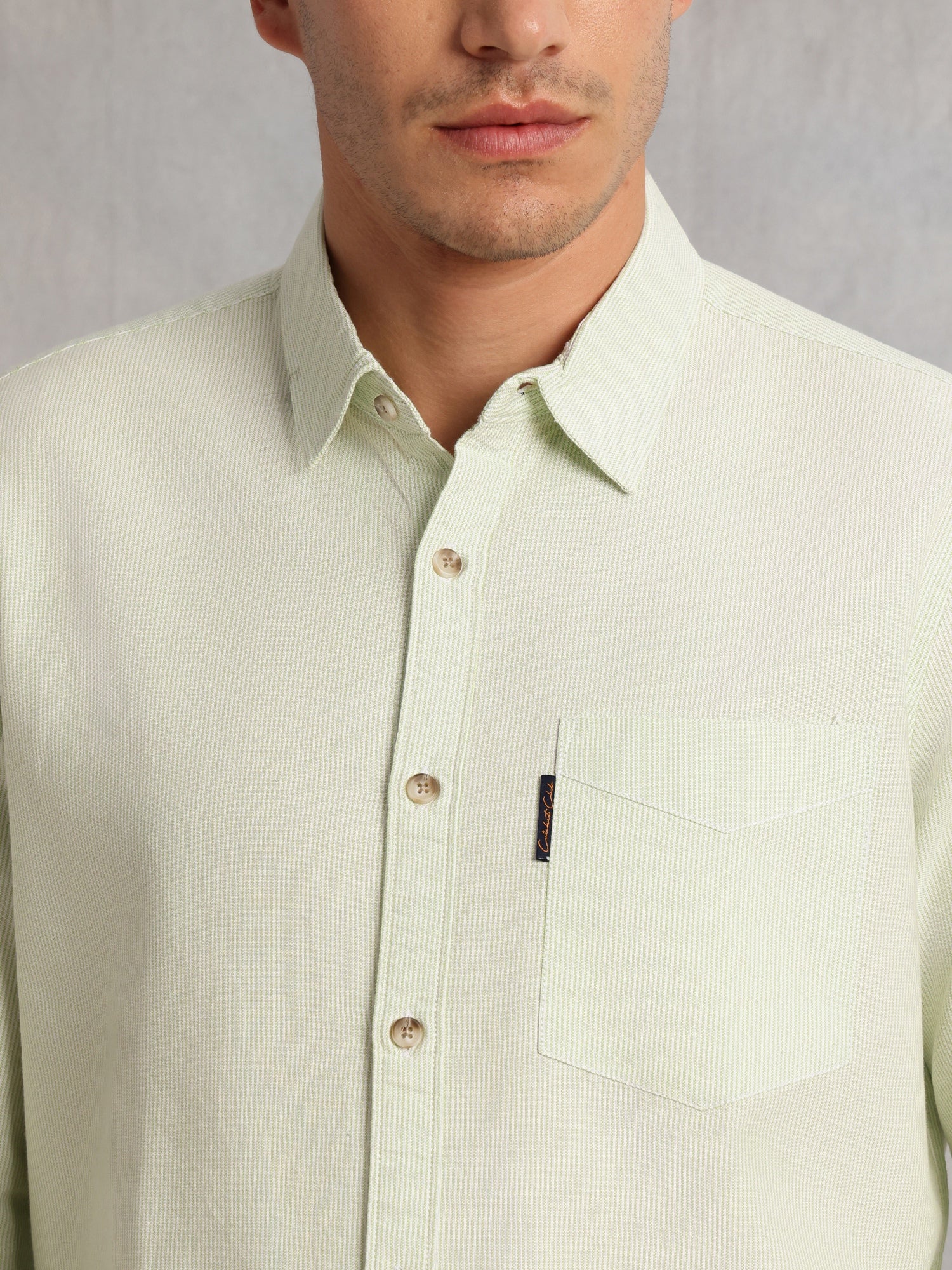 Thomas Scott Men Green Cricket Club Collection Regular Fit Pinstripes Long Sleeves Spread Collar 100% Cotton Oxford Casual Shirt