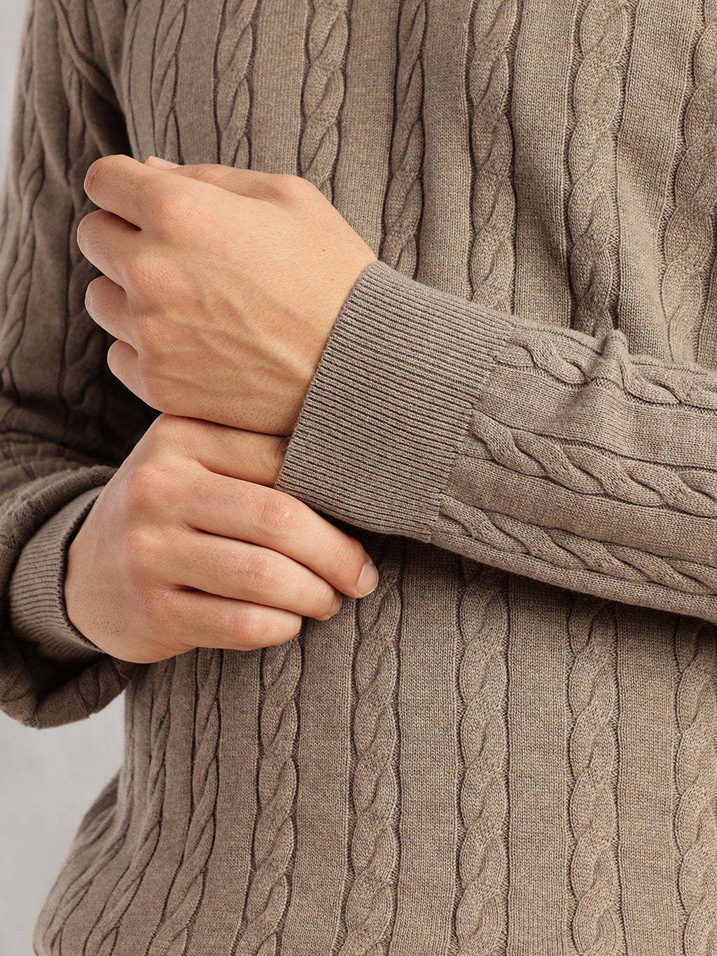 Thomas Scott Men Beige Regular Fit Long Sleeves Round Neck Self Design 100% Cotton Cable Knitted Pullover Sweater