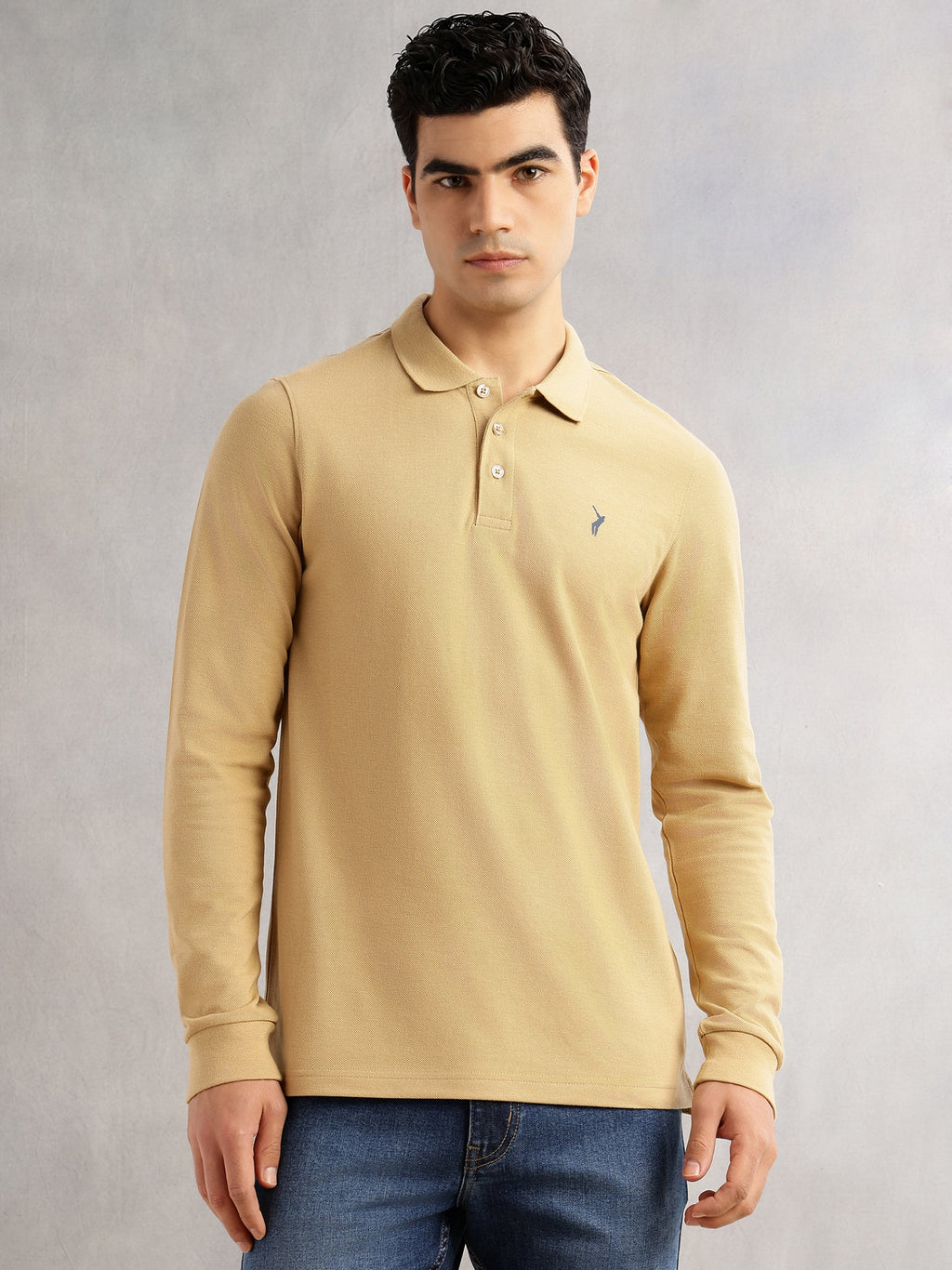 Thomas Scott Men Khaki Regular Fit Long Sleeves Solid Polo Collar Knitted T-shirt