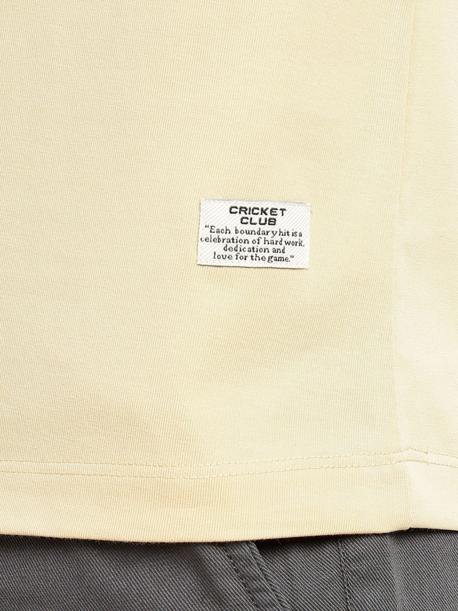 Thomas Scott Men Beige Cricket Club Collection Regular Fit Round Neck Long Sleeves Polycotton Solid Knitted T-shirt