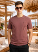 Burgundy Cricket Club Collection Regular Fit Short Sleeves Round Neck Solid 100% Cotton Knitted Tshirt For Men