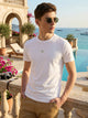 White Cricket Club Collection Regular Fit Short Sleeves Round Neck Solid Knitted Tshirt For Men