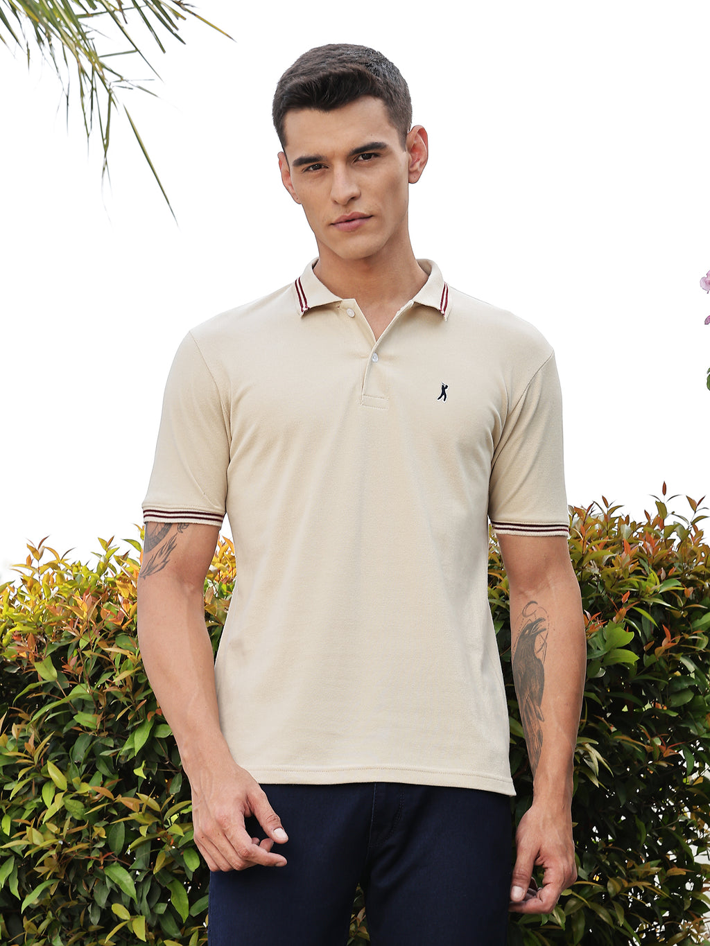 Thomas Scott Men Cream Regular Fit Short Sleeves Solid Polo Collar Knitted Tshirt