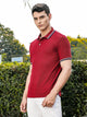 Thomas Scott Men Wine Regular Fit Short Sleeves Waffle Knitted Polo Collar Tshirt