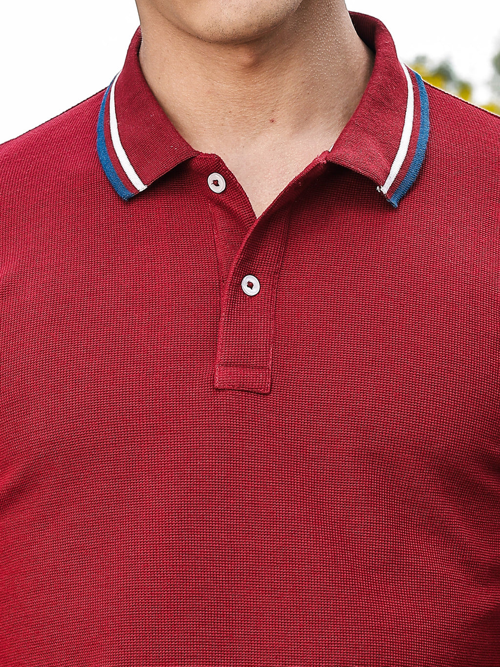 Thomas Scott Men Wine Regular Fit Short Sleeves Waffle Knitted Polo Collar Tshirt