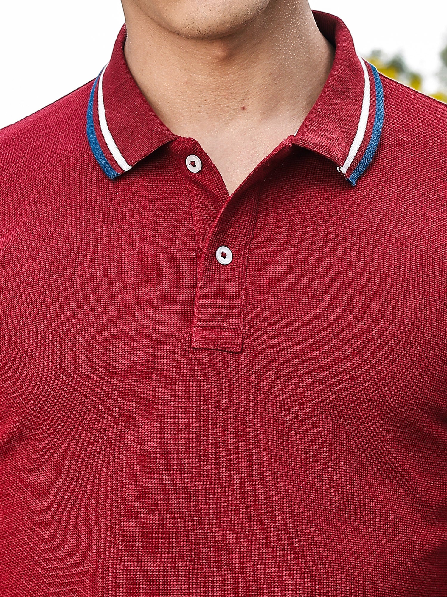 Thomas Scott Men Wine Regular Fit Short Sleeves Waffle Knitted Polo Collar Tshirt