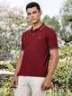 Maroon Regular Fit Short Sleeves Solid Polo Collar Knitted Tshirt For Men