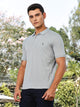 Thomas Scott Men Blue Regular Fit Short Sleeves Solid Polo Collar Knitted Tshirt