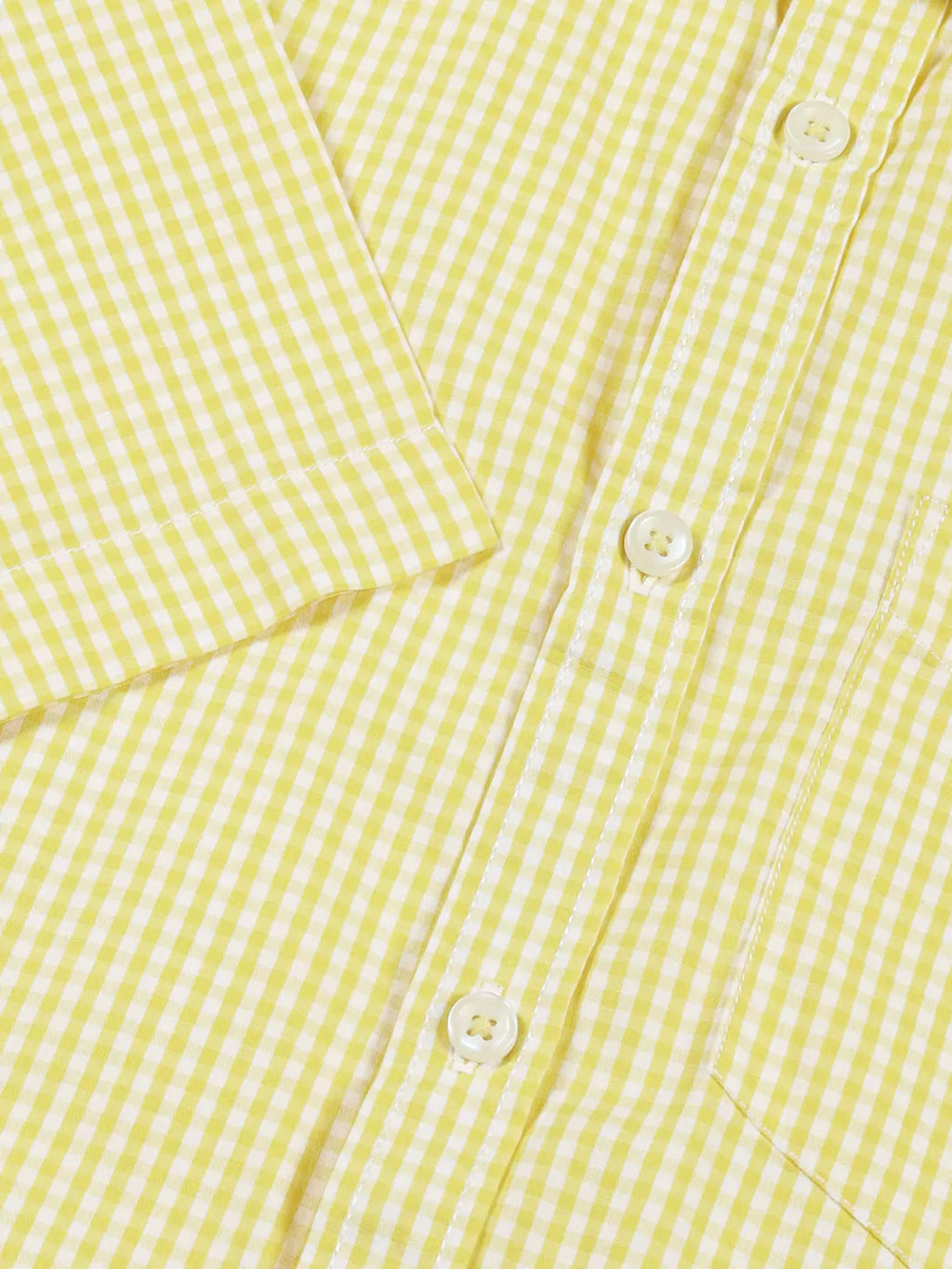 Thomas Scott Men Standard Slim Fit Checked Pure Cotton Casual Shirt