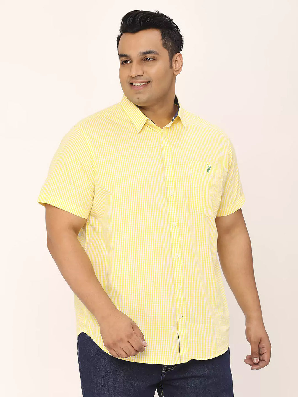 Thomas Scott Men Plus Size Standard Micro Checked Cotton Casual Shirt