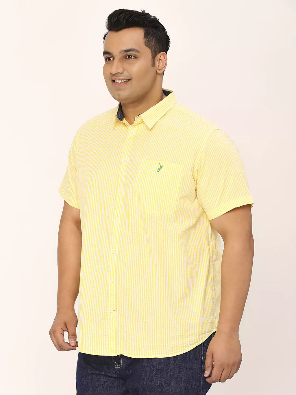 Thomas Scott Men Plus Size Standard Micro Checked Cotton Casual Shirt