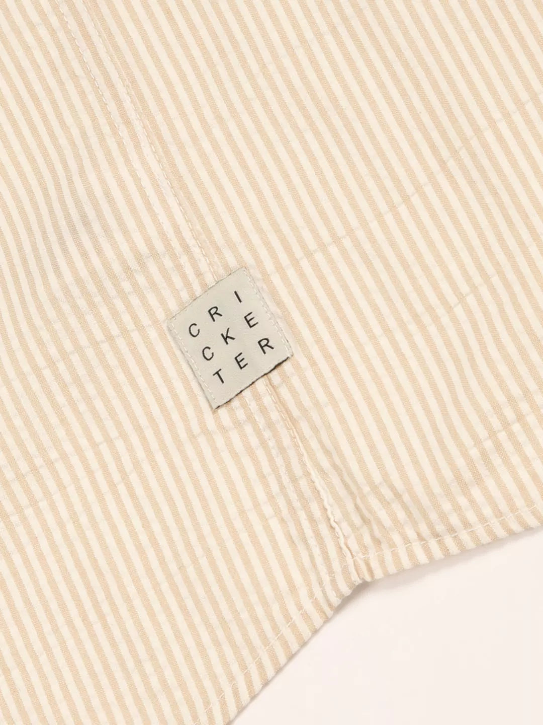 Thomas Scott Men Premium Slim Fit Striped Pure Cotton Casual Shirt
