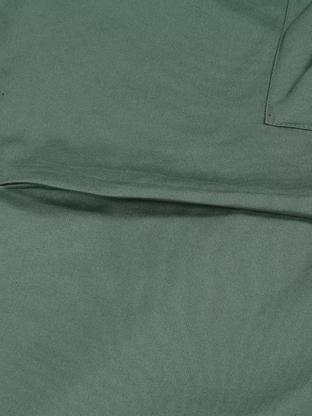 Thomas Scott Men Green Mid-Rise Regular Fit Parashute Cargos Trousers